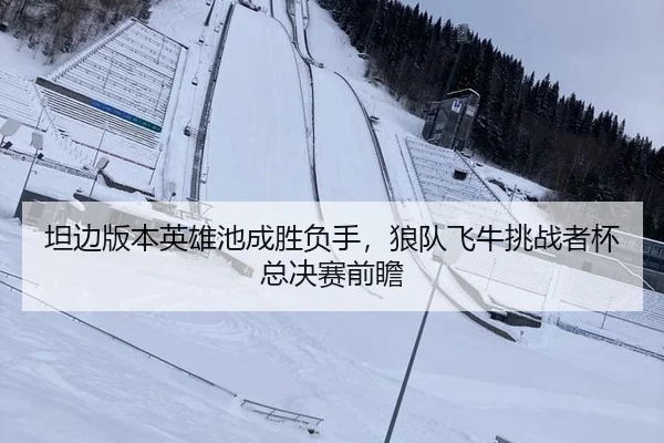 坦边版本英雄池成胜负手，狼队飞牛挑战者杯总决赛前瞻
