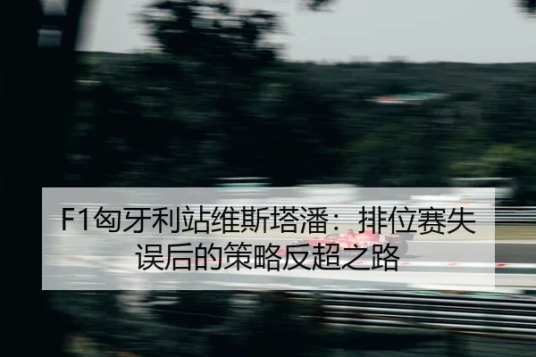 xiong-ya-li-zhan-wei-si-ta-pan-pai-wei-sai-shi-wu-hou-de-ce-lve-fan-chao-zhi-lu-2-147.jpg