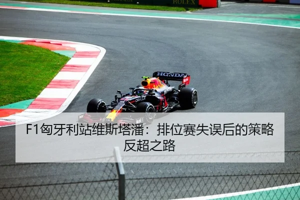 F1匈牙利站维斯塔潘：排位赛失误后的策略反超之路
