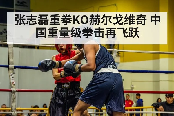 张志磊重拳KO赫尔戈维奇 中国重量级拳击再飞跃
